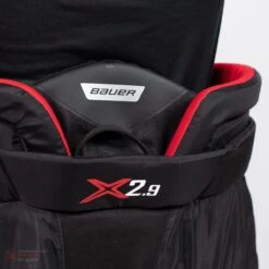 Bauer Vapor X2.9 Senior Goalie Pants -Baue Hockey Shop bauer goalie pants bauer vapor x2 9 senior goalie pants 5496832557122