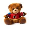 Calgary Flames Forever Collectibles NHL Seated Jersey Bear -Baue Hockey Shop forever collectibles toys games calgary flames forever collectibles nhl seated jersey bear red 29023603621954