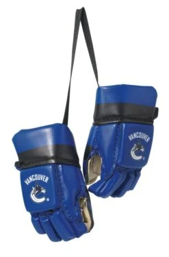 NHL Mini Hockey Gloves - Vancouver Canucks